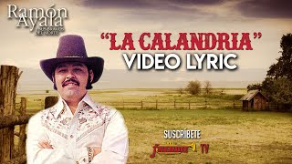 Ramon Ayala - La Calandria // VIDEO LYRIC OFICIAL