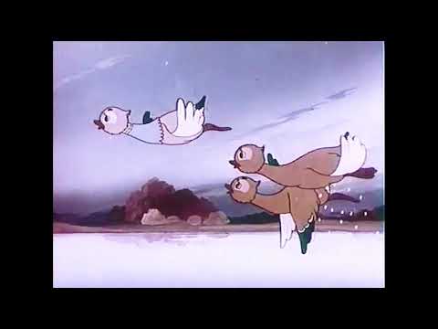 See Me Soon - Official Music Video