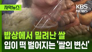 [자막뉴스] 밥상에서 밀려난 쌀…입이 떡 벌어지는 '쌀의 변신' / KBS 2026.05.09.