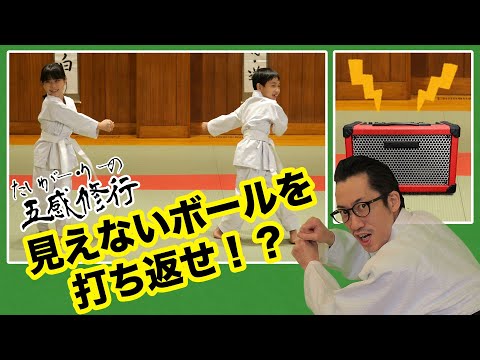見えないボールを打ち返せ!?　たいがー・りーの五感修行「カキーン修行の巻」
