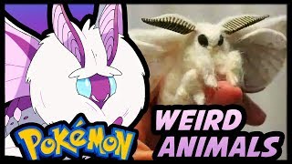 10 Weird/Rare Animals That Should Be Pokémon
