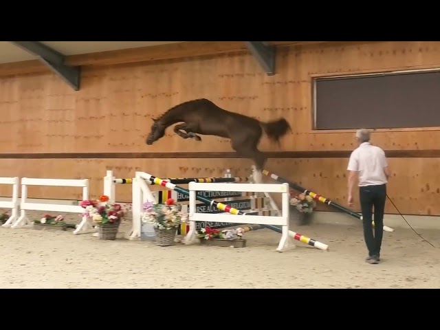 Jumping