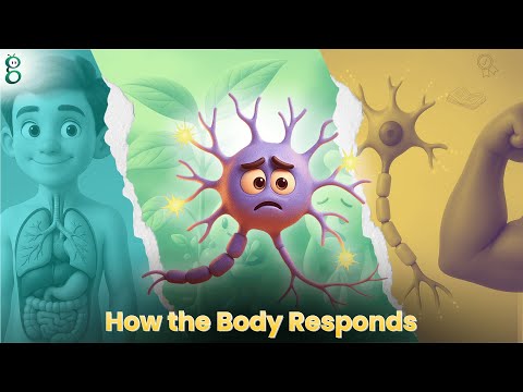 Control and Coordination – Class 10 Science video