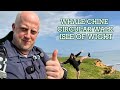 A Whale Chine Circular Walk | Isle of Wight Walks | Cool Dudes Walking Club