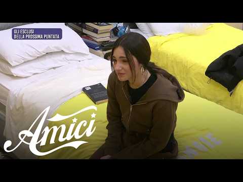 Amici 25 - Le scelte del prof. Zerbi