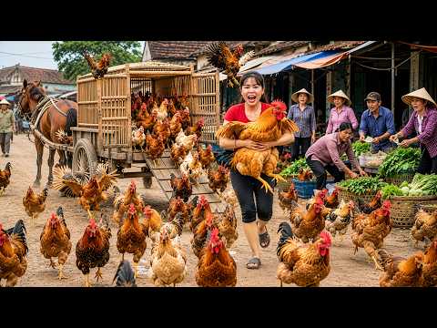 Harvesting 500+ Chickens from Farm by Horse Carriage to Sell at Village Market