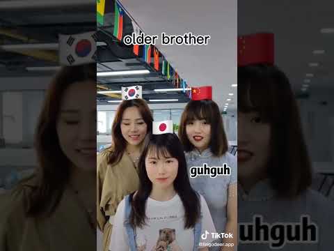 the difference between Korean 🇰🇷 Japan 🇯🇵 and Chinese 🇨🇳 language tik tok video @lingodeer.app
