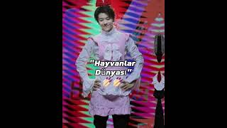 Download lagu Yaratıcı Hyung Long #boystory #boss #xinlong #zeyu #shuyang #mingrui mp3 Download lagu Yaratıcı Hyung Long #boystory #boss #xinlong #zeyu #shuyang #mingrui mp3