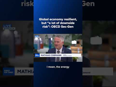 Global economy resilient, but 'a lot of downside risk': OECD Sec-Gen