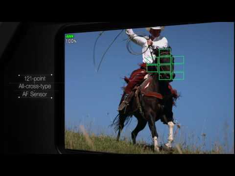 High-speed Performance | OM-D E-M1 Mark II | Olympus