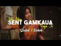 Lele Aiha Sent Gamkaua Raja Ji Slowed And Reverb
