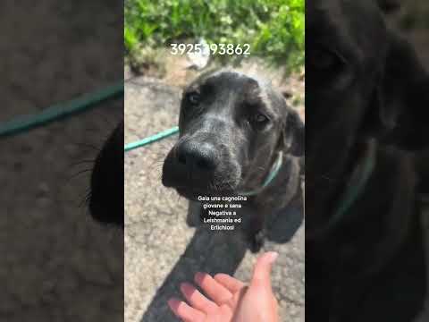 Regalo Apri il mio box portami a casa con te