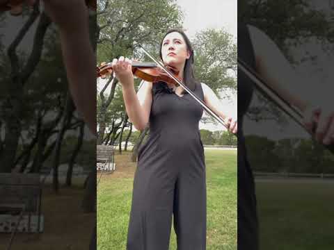 Promotional video thumbnail 1 for Catherine Beck Violinist