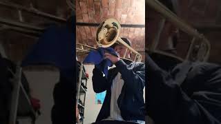 Mis dos vicios. (De banda carnaval)