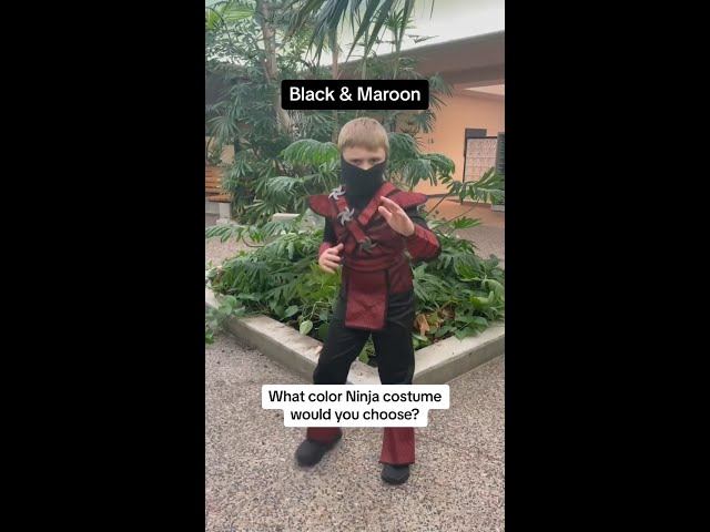 Vídeo relacionado con FIESTAS GUIRCA | Set de Ninja 10 Piezas - Accesorios para Disfraz de Guerrero Ninja - Ideal para Fiestas de Disfraces y Halloween - Incluye Espada y Shuriken de Juguete - Para Niños y Adultos