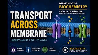Transport Across Membrane