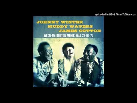 Johnny Winter, Muddy Waters and James Cotton - Mannish Boy [Live 1977]