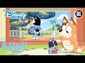 Bluey | Leren lopen | Disney Channel NL