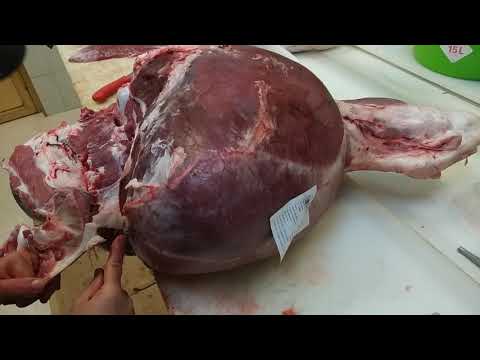 Deshuesar pierna de ternera de azul belga -Bone Belgian blue veal leg