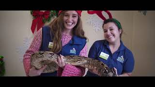 Carols for Conservation- "My Only Wish This Year"  lip sync