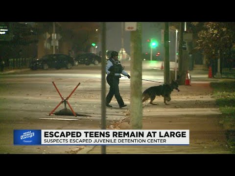 News 4 Evening Update: November 17, 2021