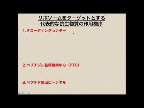 生命科学部　授業紹介（分子生物学）