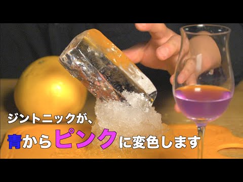 お酒YouTuberのYotoさんが解説！色が変わる話題のジン「エンプレス」が家飲みにおすすめな理由 | カンパイ タイムズ