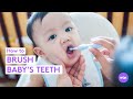 How to Brush Your Baby's Teeth - What to Expect
