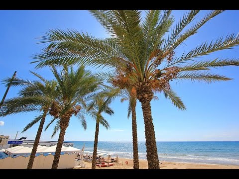 Tour delle spiagge di Marina di Ragusa col drone