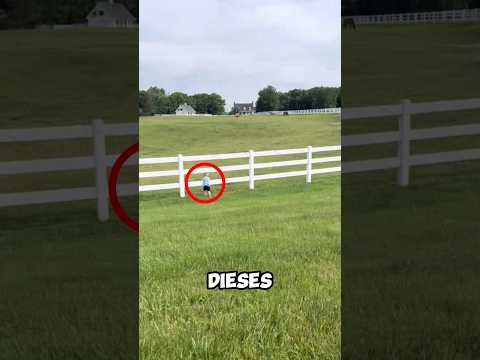Die schockierte Reaktion des Pferdes als es ihn erreichte 🤯
