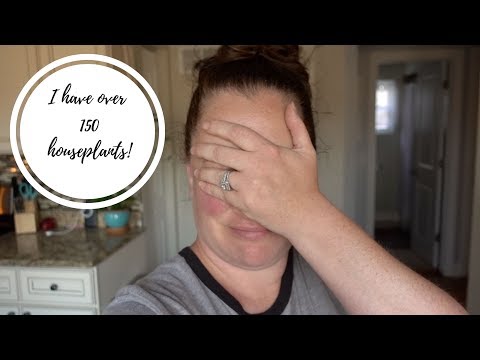 I have over 150 Houseplants!!! - Late Summer UPDATED Houseplant Tour