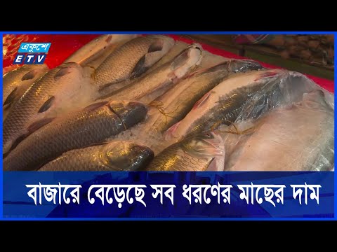 বাজারে বেড়েছে সব ধরণের মাছের দাম