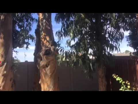 Port Hueneme's Pacific Point