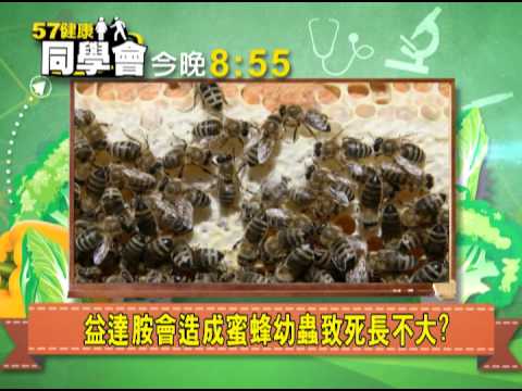 , title : '57健康同學會預告#1077　2014.05.06 全球蜜蜂崩解之謎'
