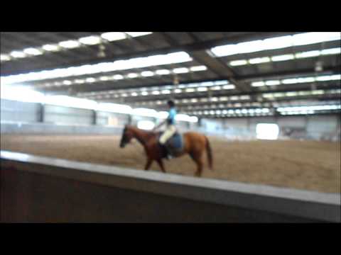 hayley horse riding at oakwood riding school.
