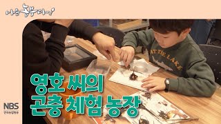 [나는농부다 286회] 영호 씨의 곤충 체험 농장