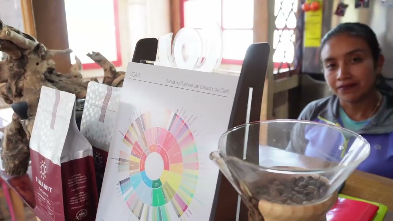 Costo del efectivo en la cadena de valor del sector del café en Guatemala, Better Than Cash Alliance