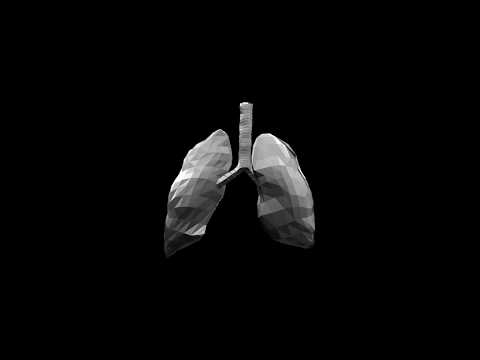 Bocaseca x nUKred - Respir