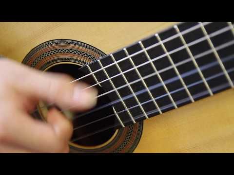 Pearce Wang 1st Year -  "Prelude Lagrima"