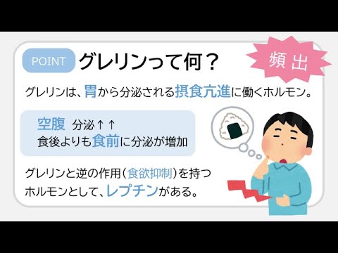 グレリンについて詳しく解説