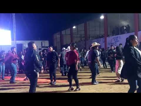 rugido felino- baile de cierre de feria santa cruz xitla miahuatlan oaxaca 2024