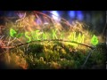 Svenska Film Intro
