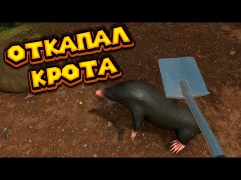 САД КРОТ И ФИНАЛ HOUSE FLIPPER