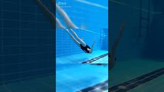 Download lagu #short #dance #funnyvideo #japan #japan #swimmingpool #swimming #girl mp3