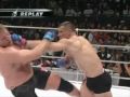 tribute - Mirko Cro Cop 