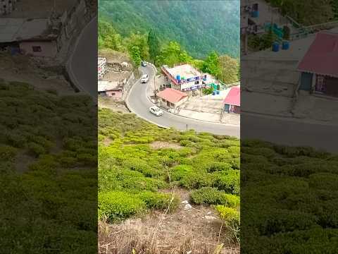 Vibe 😍😍#shorts #travel #mountains #bike #love