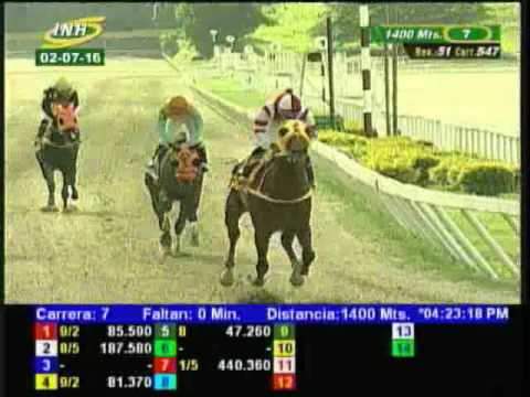 Resumen Sábado, 02 de Julio de 2016 - La Rinconada