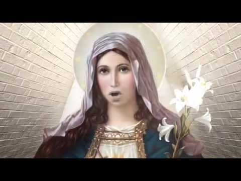 THE CYBORGS - I'm just a Cyborg and I don't believe in God [Official Video]