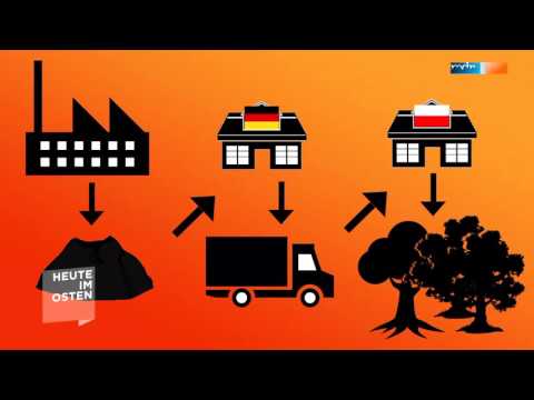 Illegaler Müll: Ein Millionengeschäft