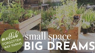 How We Got Our Homestead Name | Collab with Forgotten Way Farms |  Hey It's A Good Life